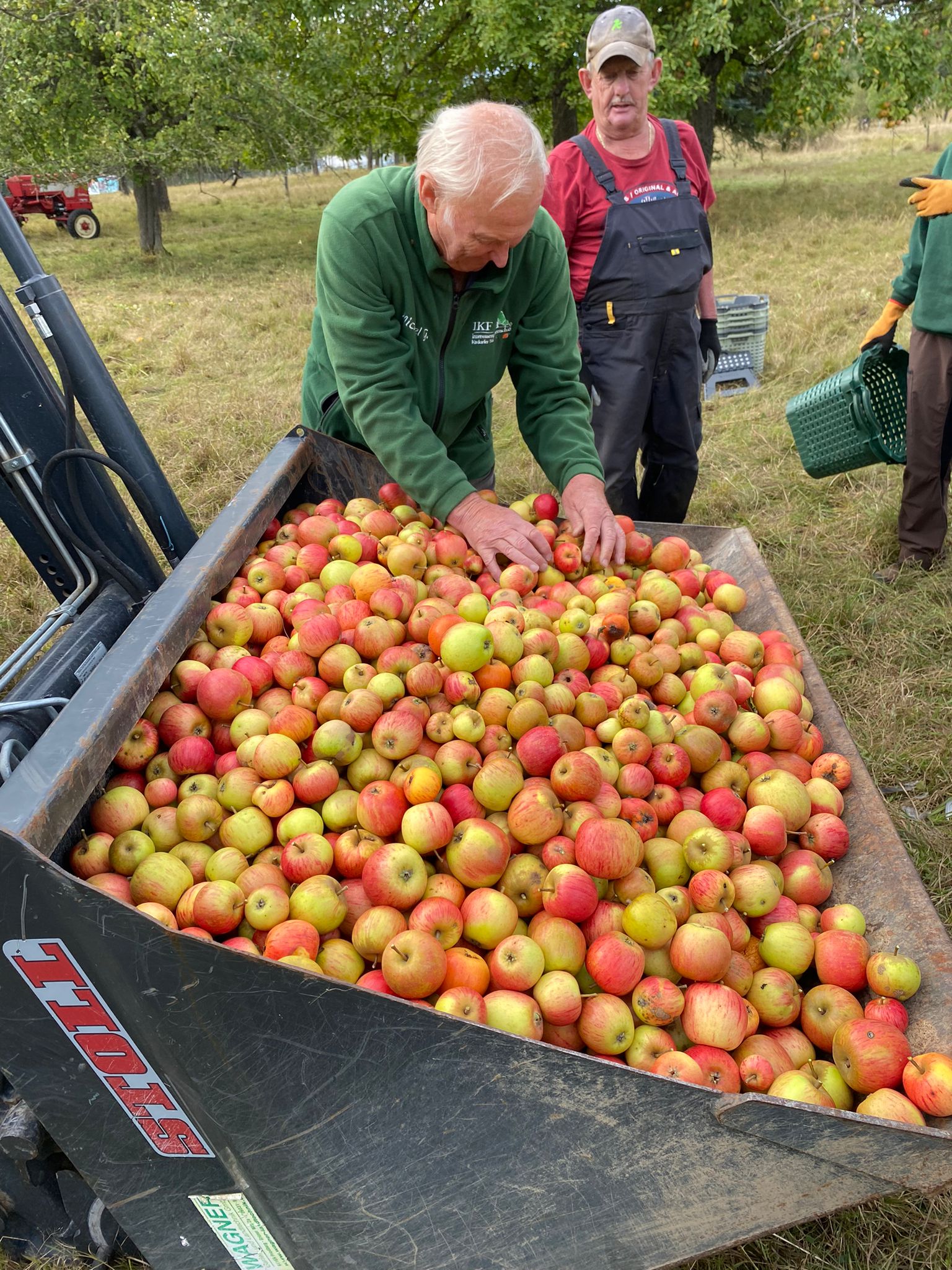 Apfel Schaufel